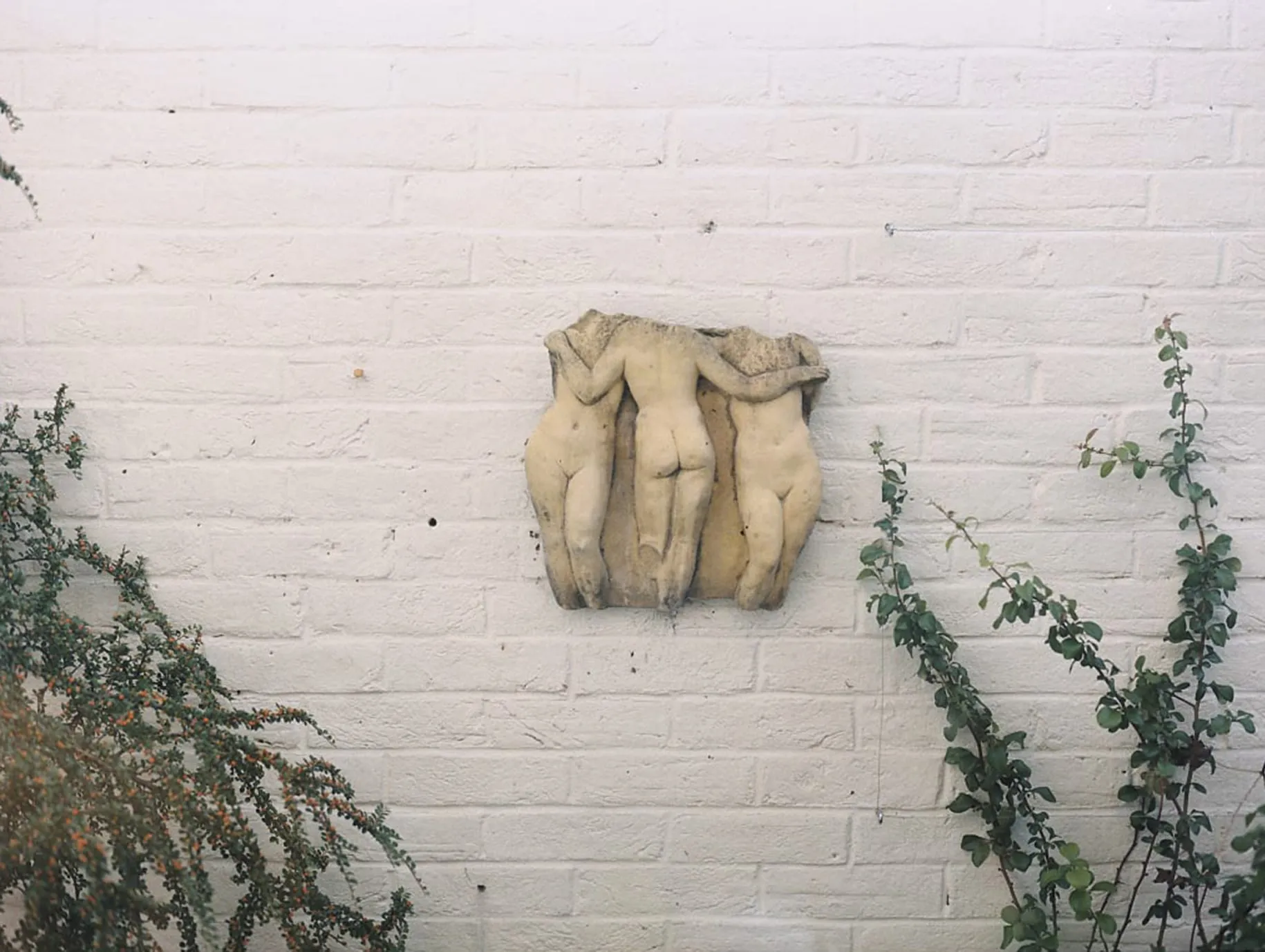 A stone relief of three nude figures seen from behind, arms across each other's shoulders, mounted on a whitewashed brick wall with shrub branches reaching in from both sides.