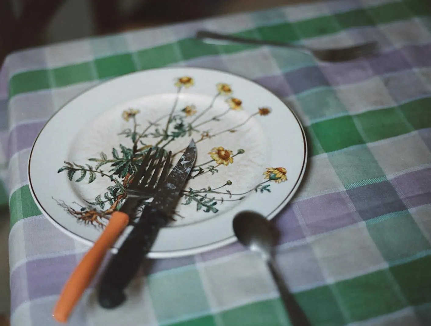 A place setting on a green and lilac checked tablecloth: a white plate printed with yellow daisies, an old fork and knife laid across it, and a spoon beside.