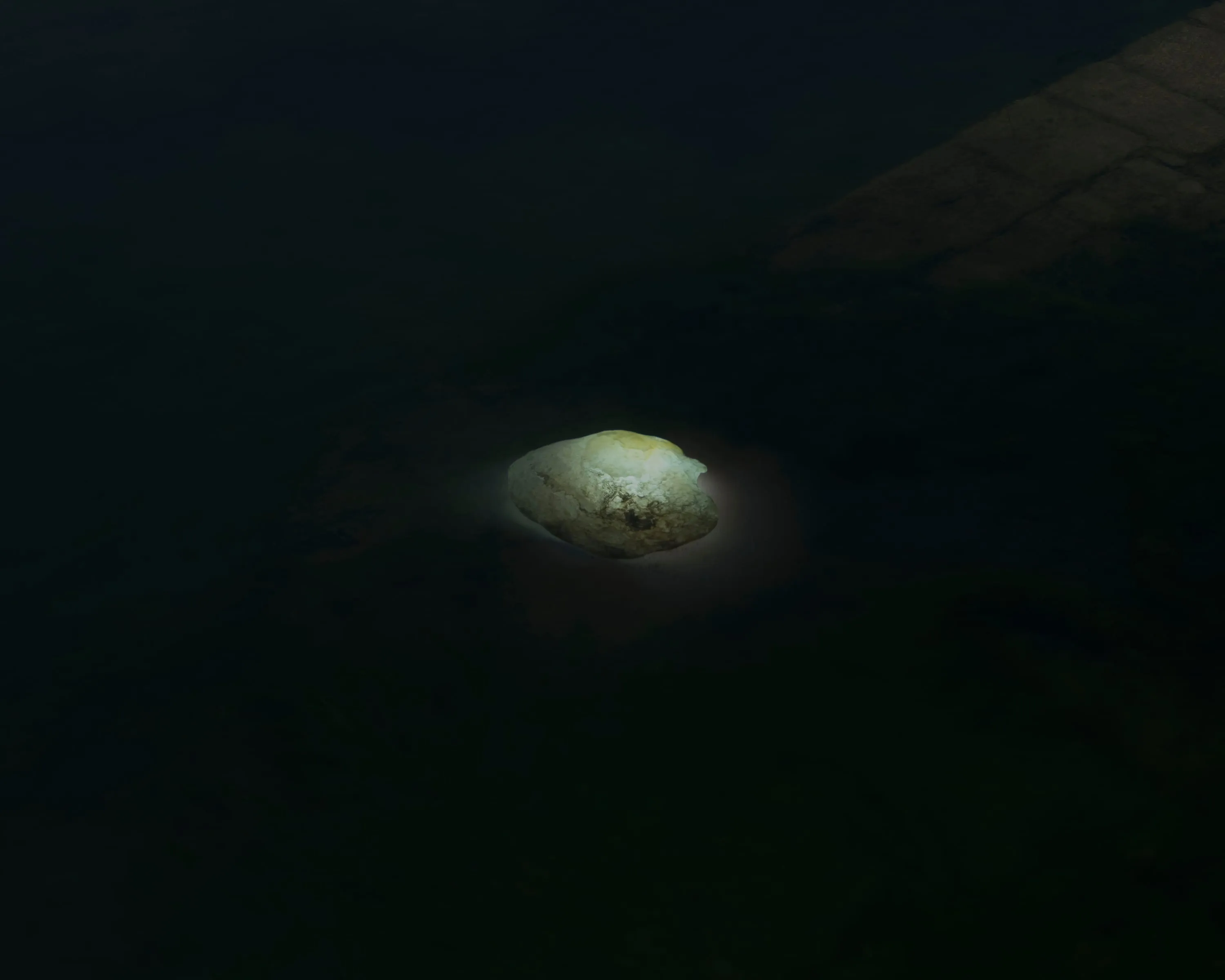 A pale shell resting in a small pool of light, emerging from almost complete darkness; a corner of stone paving catches the light at the top right.