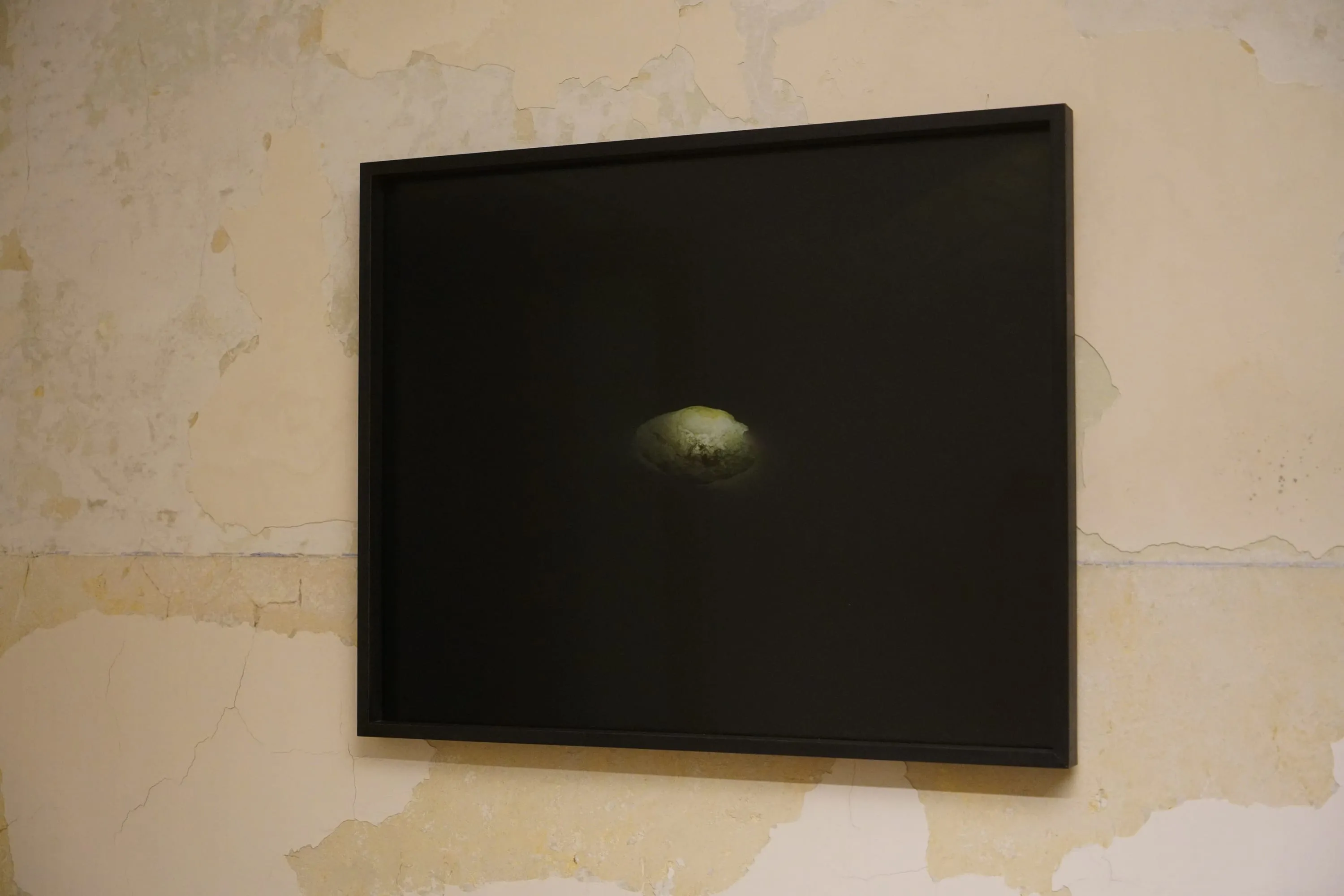 Installation view: the framed print hangs on a wall of cracked, peeling plaster, the lit shell a small bright point at the centre of an almost black image.