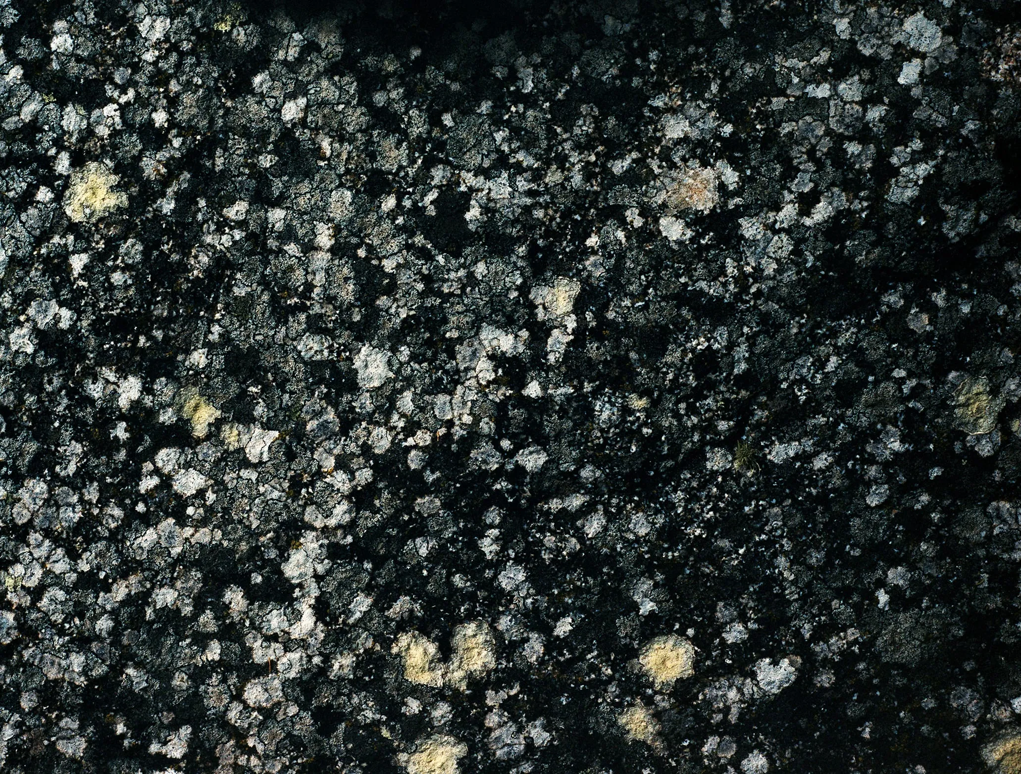 A dark stone surface seen close up, densely encrusted with pale grey lichen and a few patches of yellow-green.
